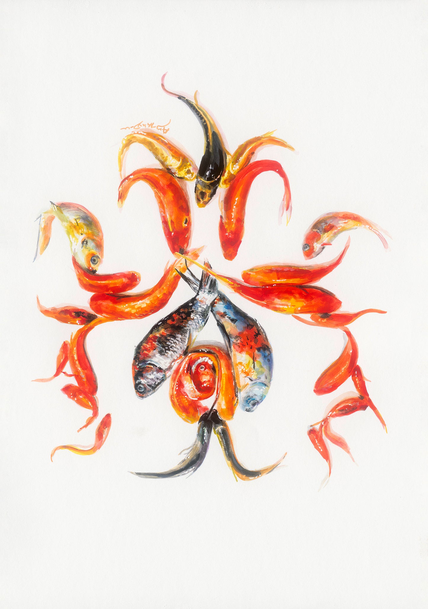Goldfish Brocade 1,Augustina Droze