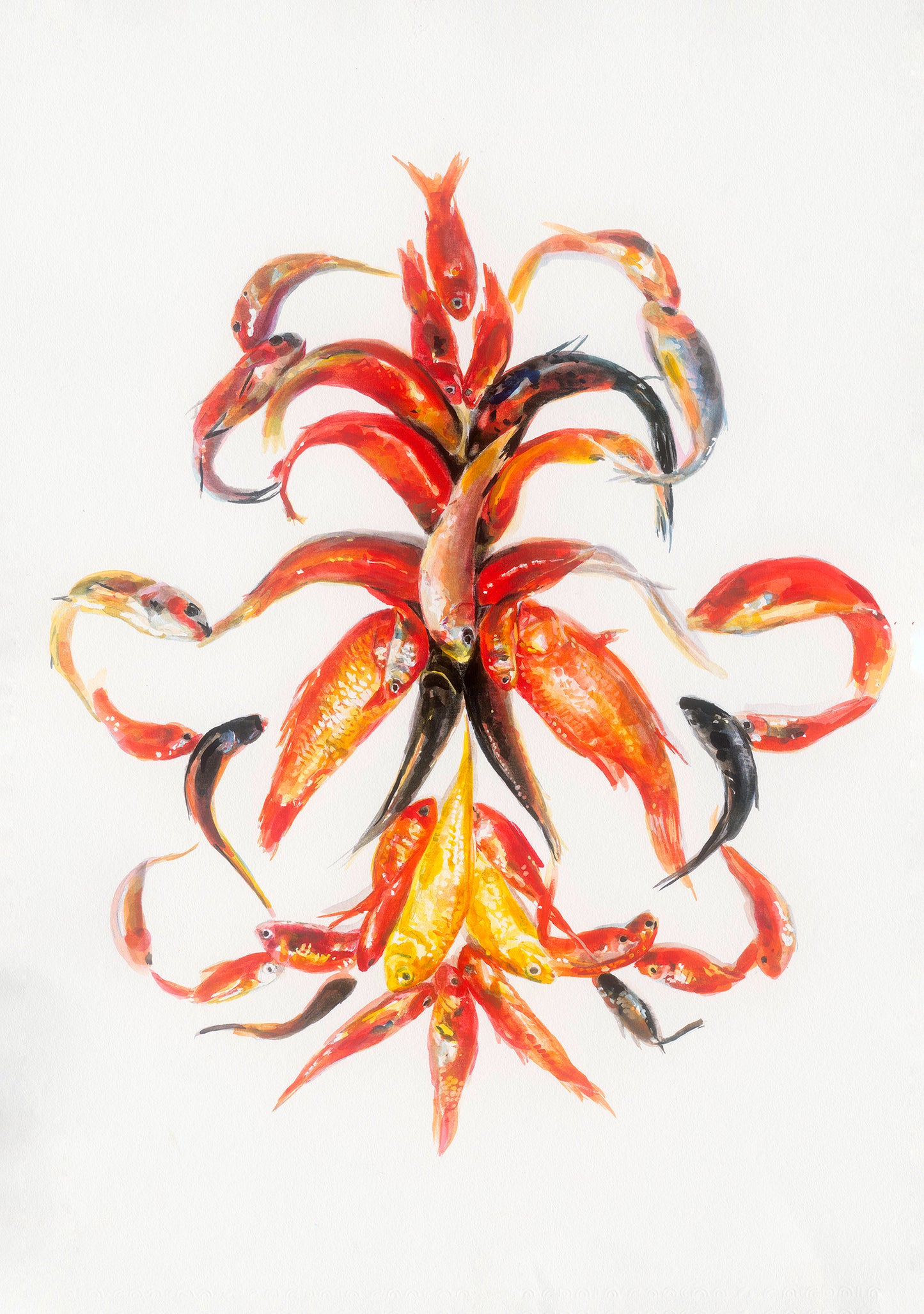 Goldfish Brocade 2,Augustina Droze